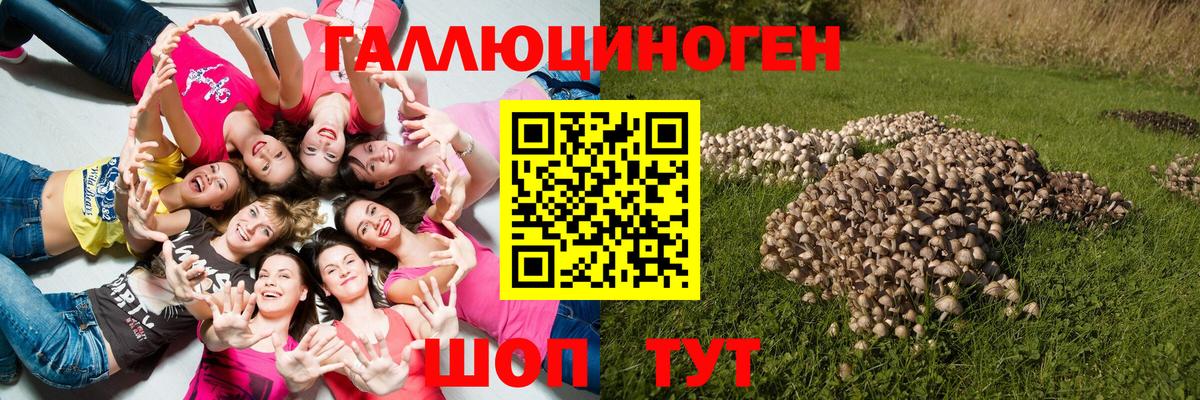 Псилоцибиновые грибы GOLDEN TEACHER  Галлюциногенные грибы мухоморы  купить наркотики сайты  Вход с VPN  Острогожск 